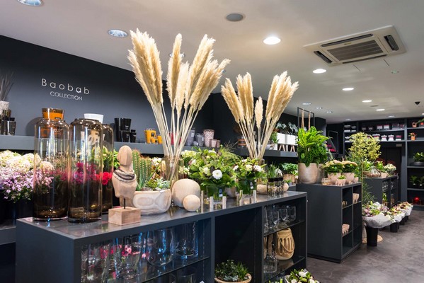 Iris Fleurs - Boutique Glacis