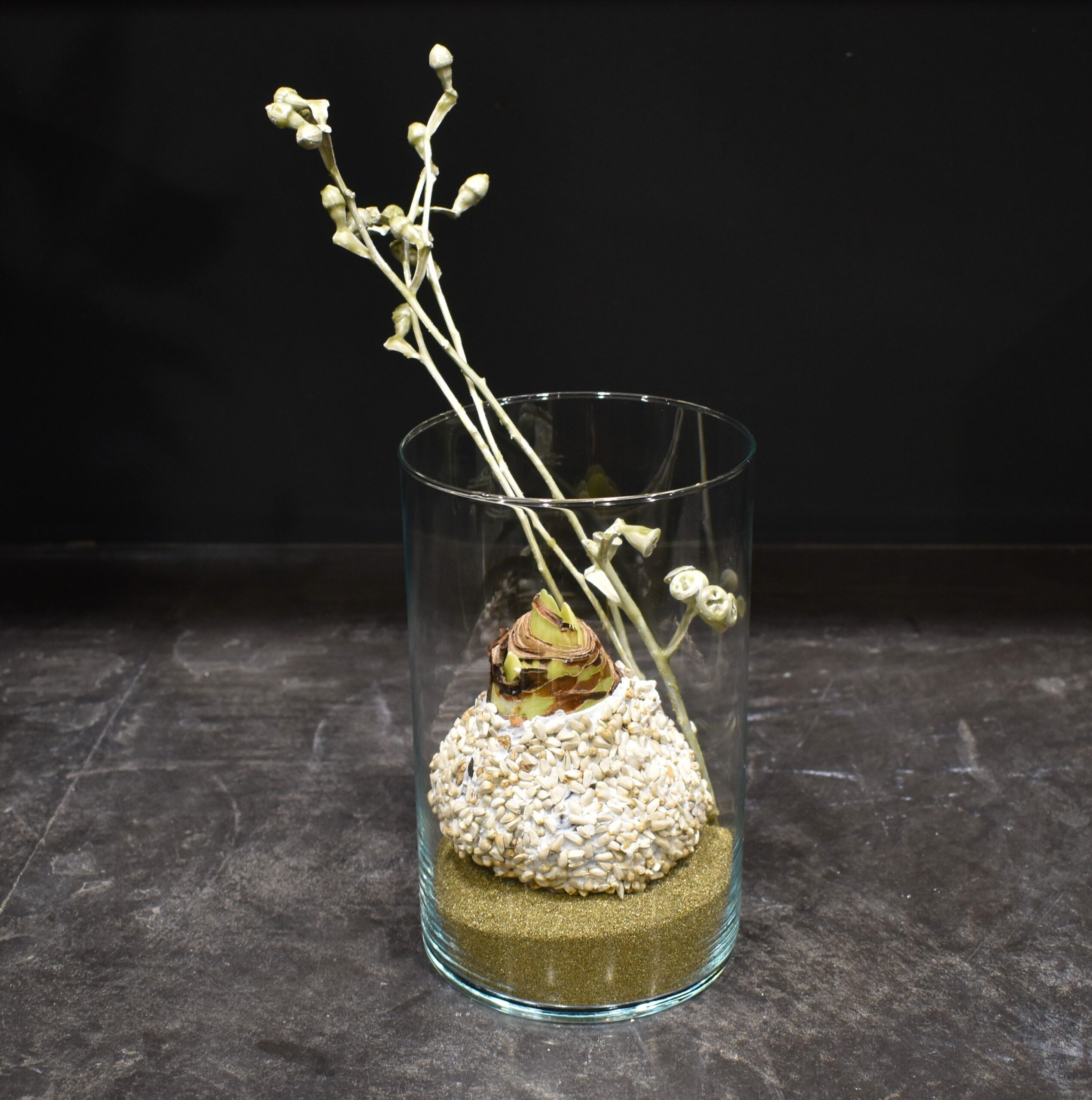 Petite Composition Amaryllis blanc