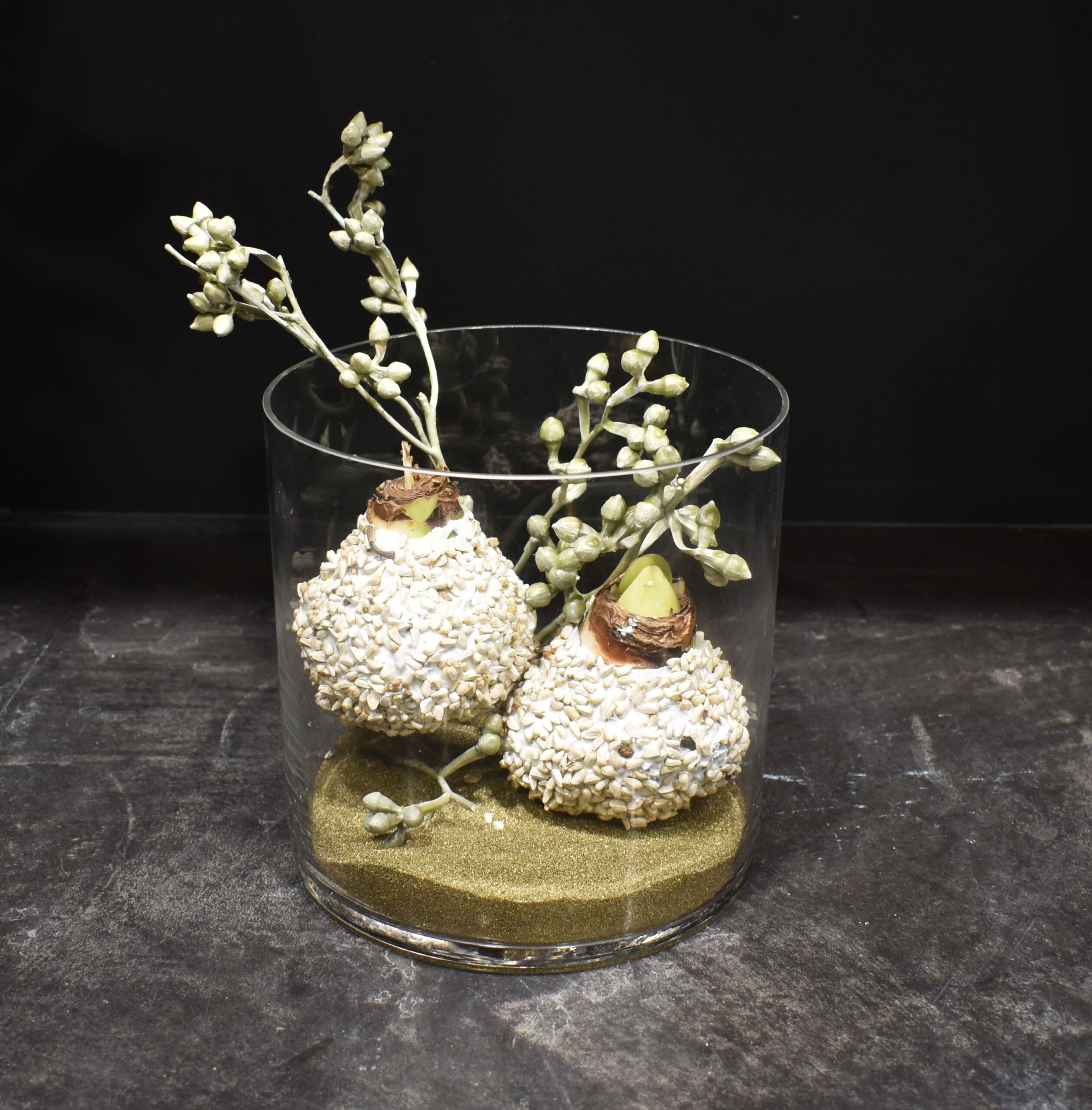 Grande Composition Amaryllis blanc