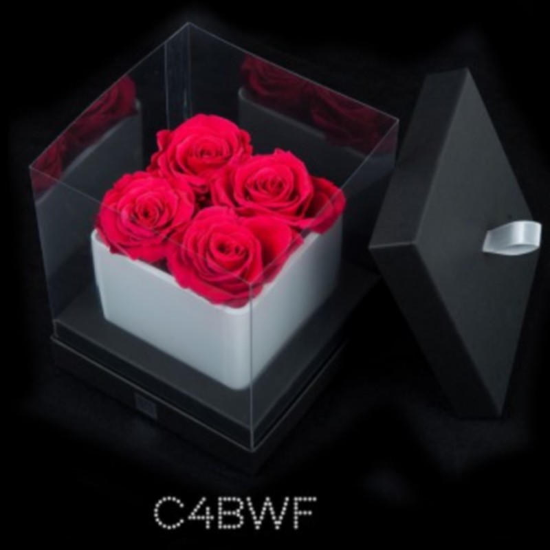 cube blanc 4 roses fushias boite noire