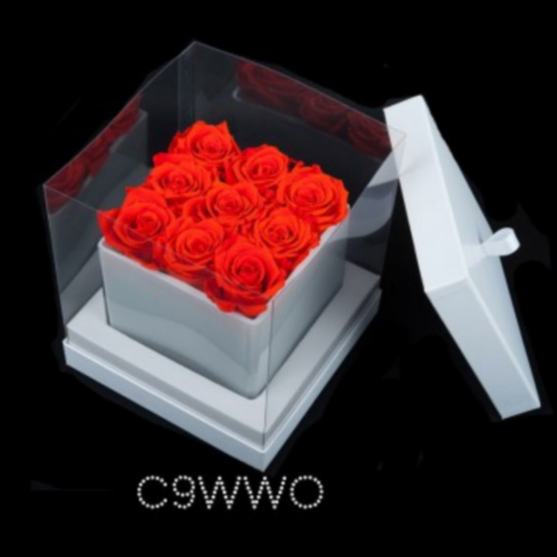 9 Orange Roses White Cube