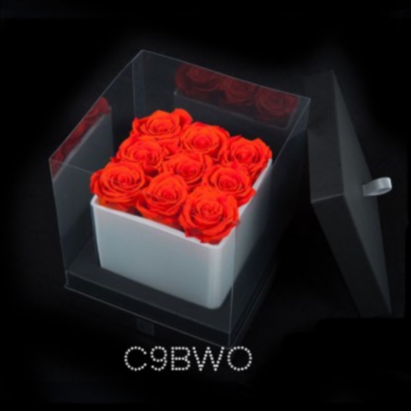 cube blanc 9 roses oranges boite noire