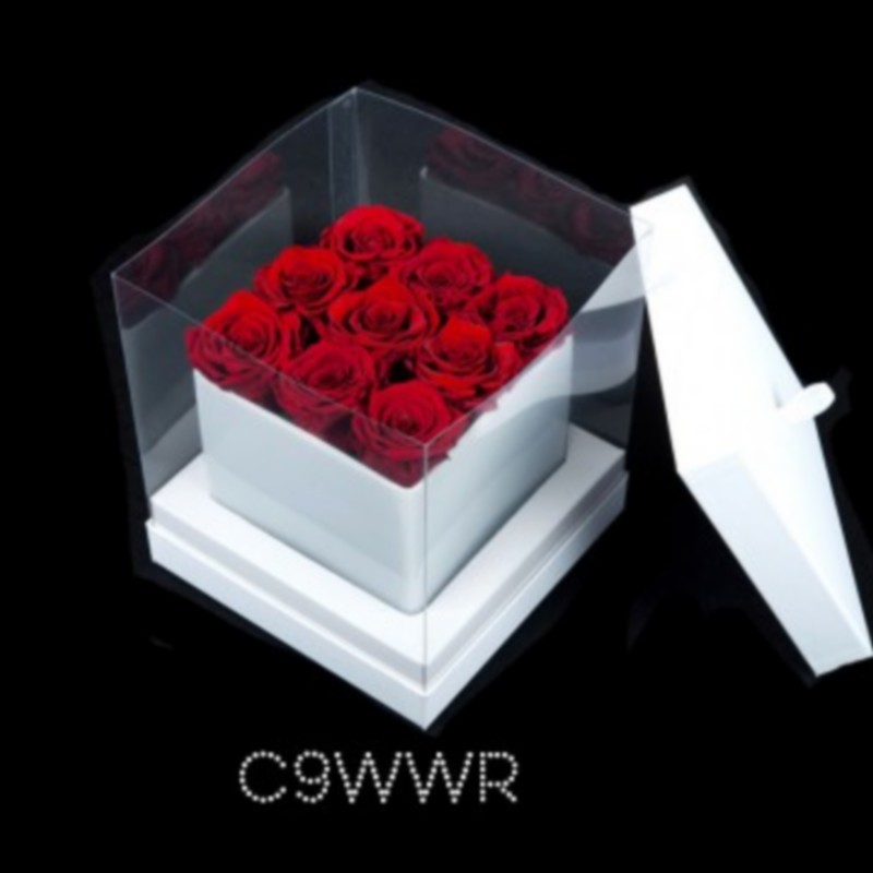 Cube blanc 9 roses rouges (boîte blanche)