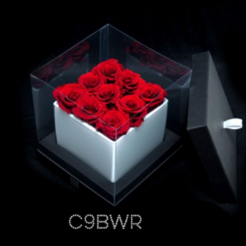 Cube blanc 9 roses rouges (boîte noire)