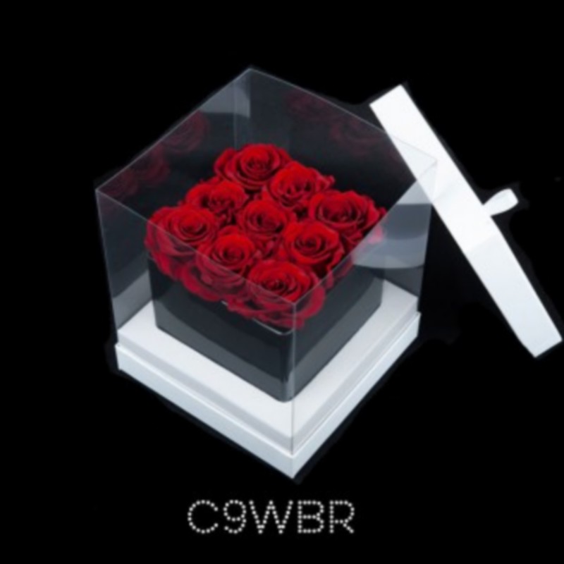 9 Red Roses Black Cube